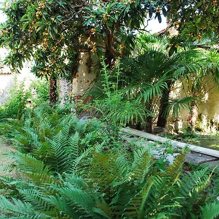 Palmitia Bed and breakfast *