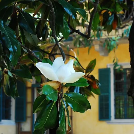 Bed and breakfast Palmitia