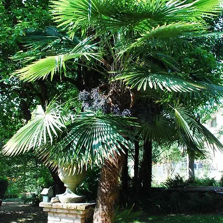 Palmitia * Cumiana